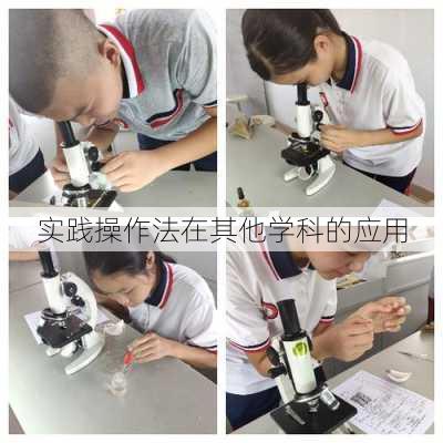 实践操作法在其他学科的应用