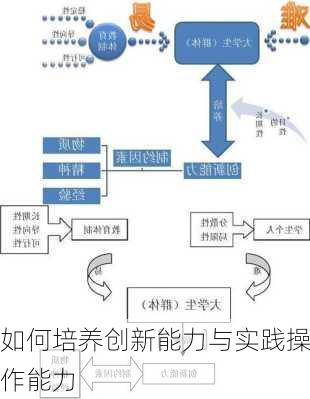 如何培养创新能力与实践操作能力