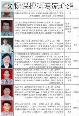 文物保护科专家介绍