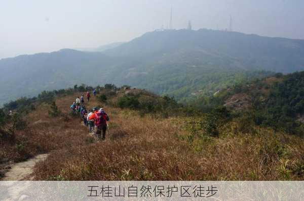 五桂山自然保护区徒步