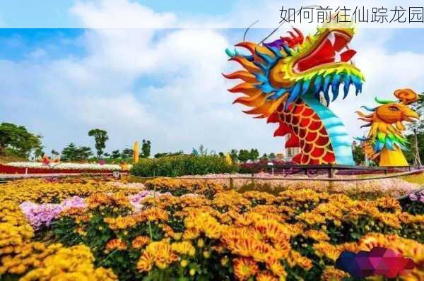 如何前往仙踪龙园