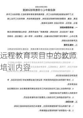 远程教育项目中的教师培训内容