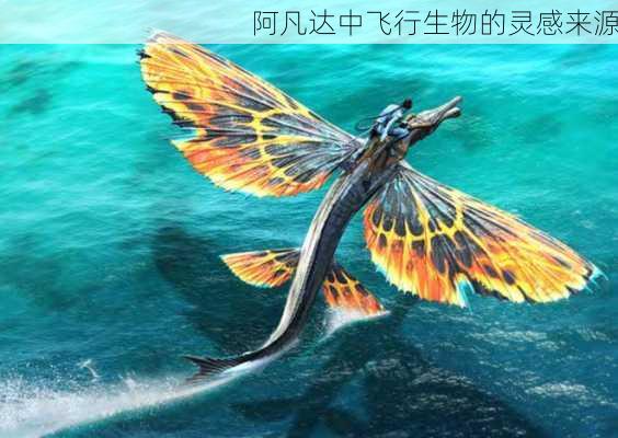 阿凡达中飞行生物的灵感来源