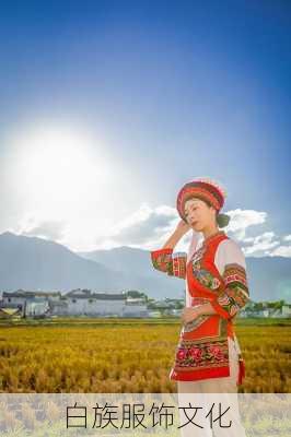 白族服饰文化