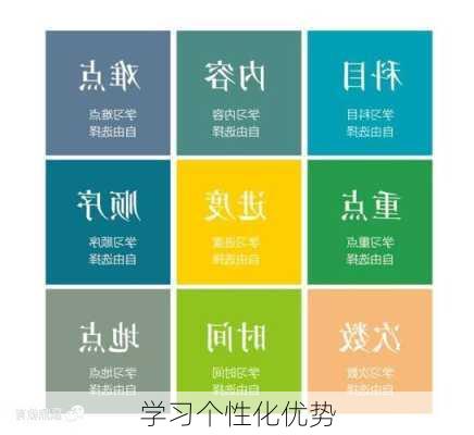 学习个性化优势