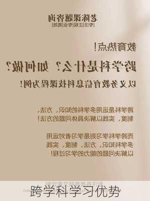 跨学科学习优势