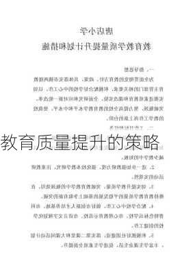 教育质量提升的策略