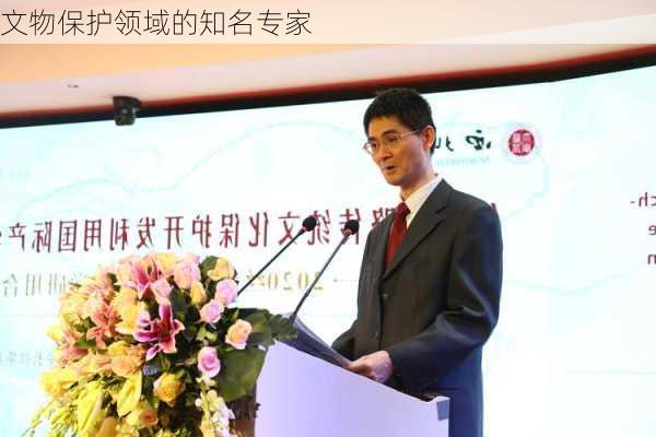 文物保护领域的知名专家