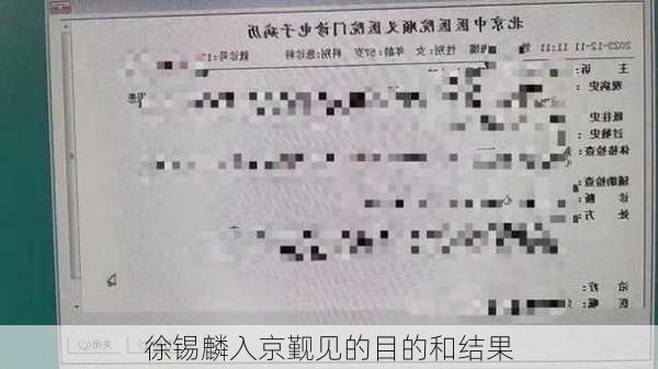 徐锡麟入京觐见的目的和结果