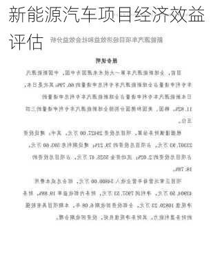 新能源汽车项目经济效益评估