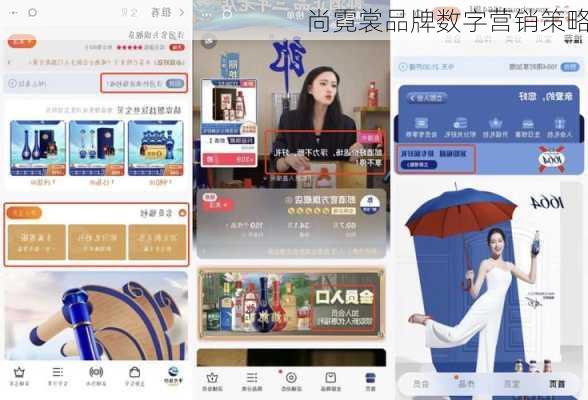 尚霓裳品牌数字营销策略