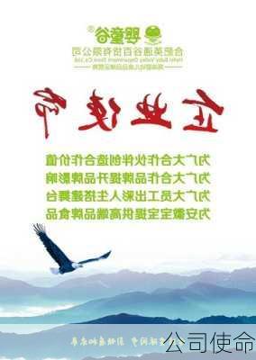 公司使命