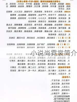 小说尚霓裳简介