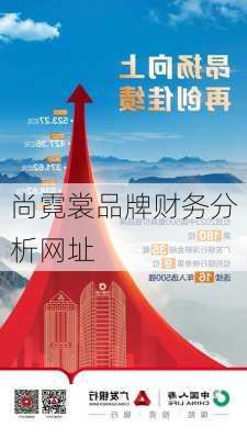 尚霓裳品牌财务分析网址