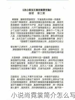 小说尚霓裳简介怎么写