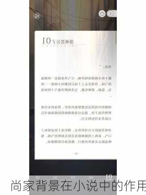 尚家背景在小说中的作用