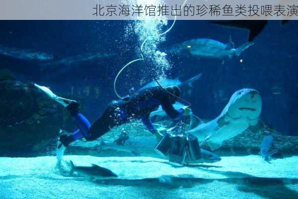 北京海洋馆推出的珍稀鱼类投喂表演