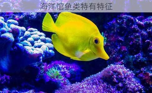 海洋馆鱼类特有特征