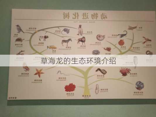 草海龙的生态环境介绍