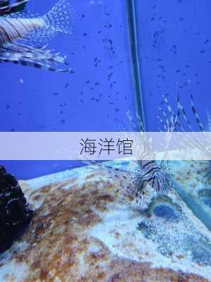 海洋馆