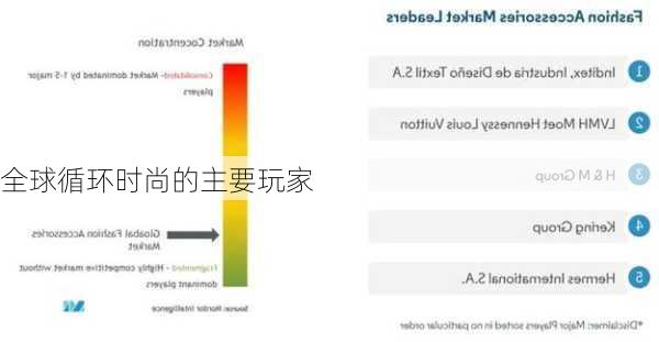 全球循环时尚的主要玩家