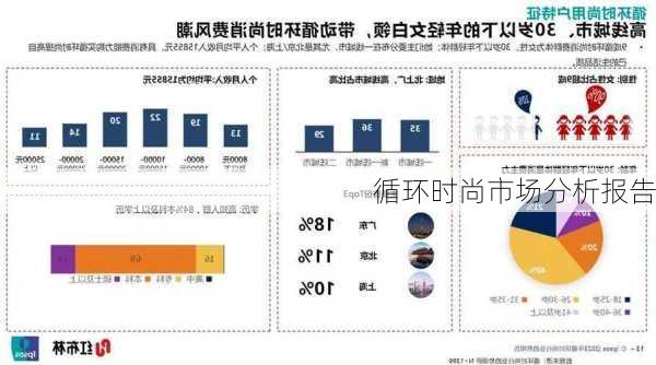 循环时尚市场分析报告