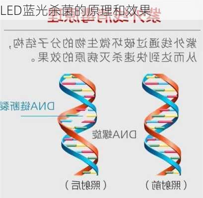 LED蓝光杀菌的原理和效果