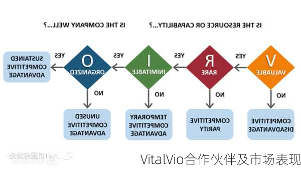 VitalVio合作伙伴及市场表现