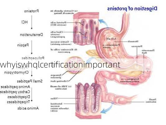 whyiswhqlcertificationimportant