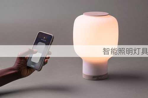 智能照明灯具