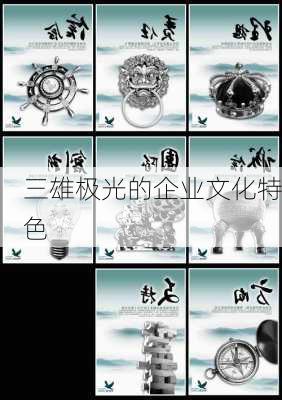 三雄极光的企业文化特色