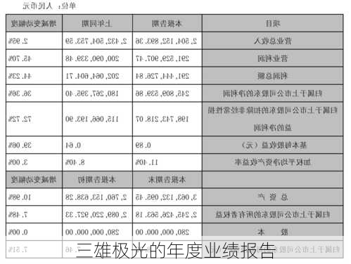 三雄极光的年度业绩报告