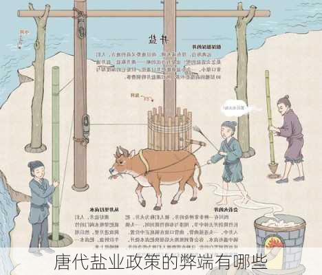 唐代盐业政策的弊端有哪些