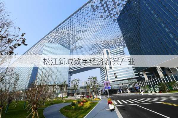 松江新城数字经济新兴产业