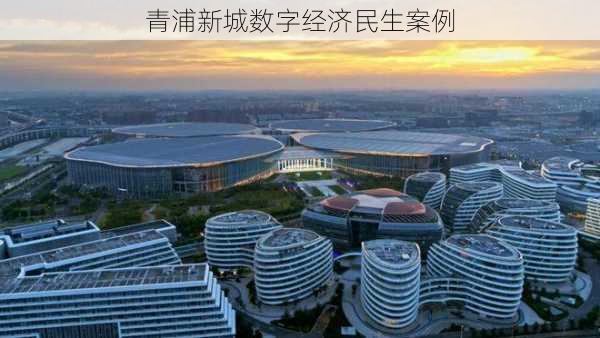青浦新城数字经济民生案例