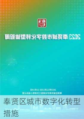 奉贤区城市数字化转型措施