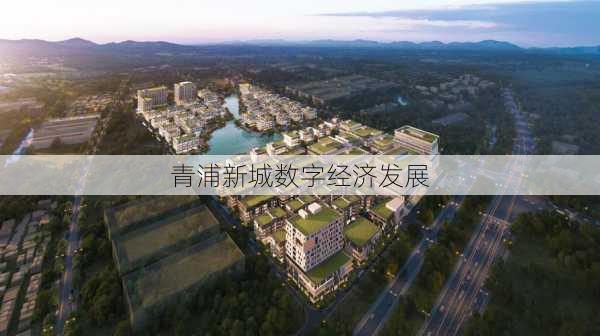 青浦新城数字经济发展