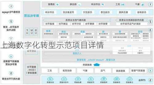 上海数字化转型示范项目详情
