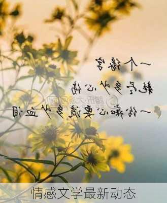 情感文学最新动态