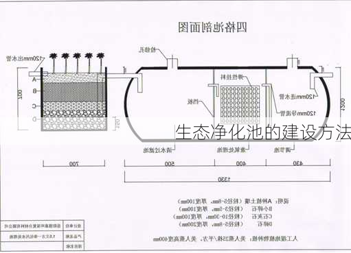 生态净化池的建设方法