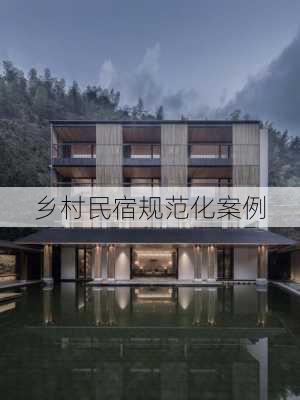 乡村民宿规范化案例