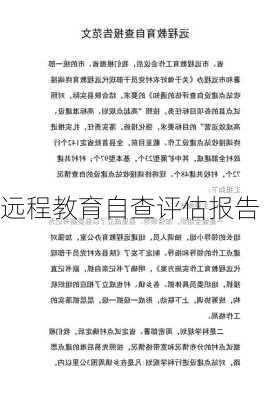 远程教育自查评估报告
