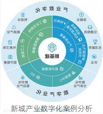 新城产业数字化案例分析