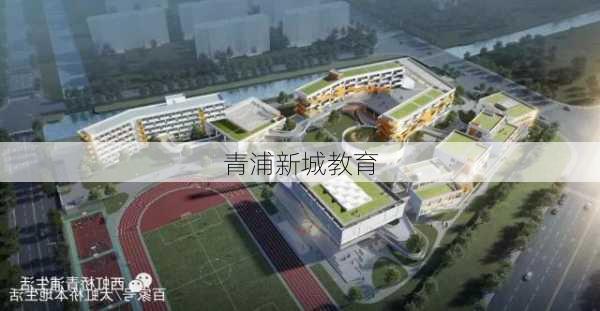 青浦新城教育