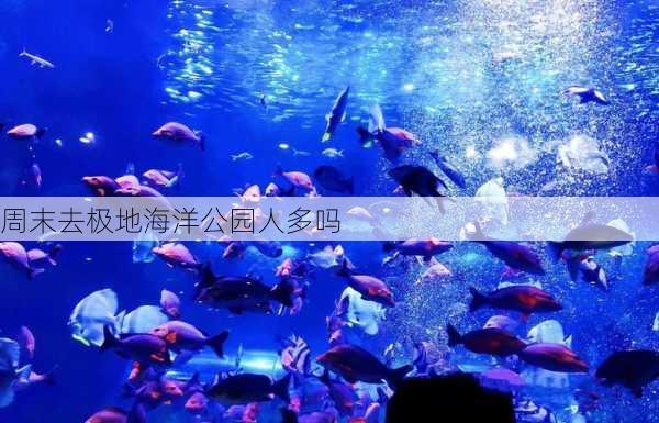 周末去极地海洋公园人多吗