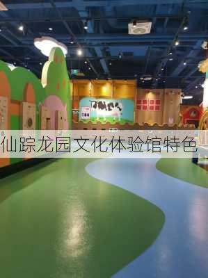 仙踪龙园文化体验馆特色