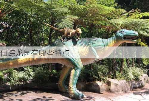 仙踪龙园有哪些特点