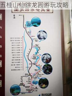 五桂山仙踪龙园游玩攻略