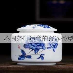 不同茶叶适合的瓷器类型