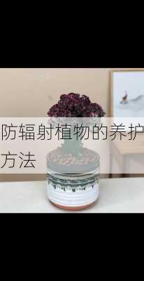 防辐射植物的养护方法